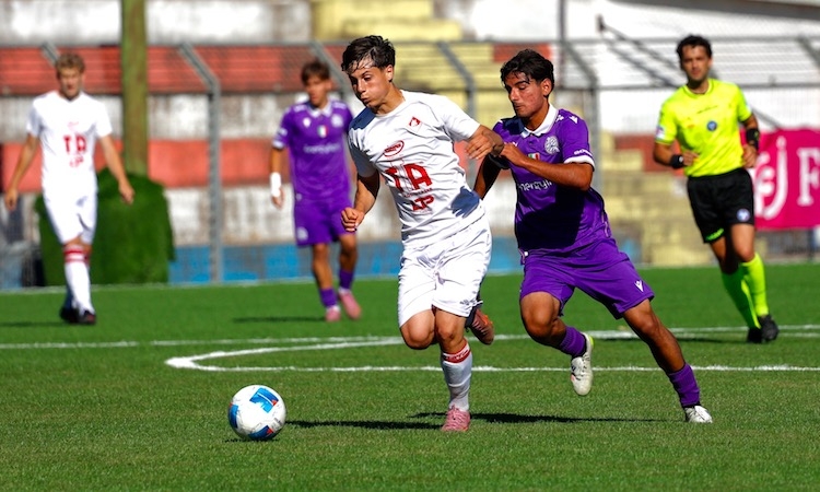 Juniores Nazionali: Piacenza e Treviso volano in finale scudetto, appuntamento il 14 giugno a Guidonia Montecelio 
