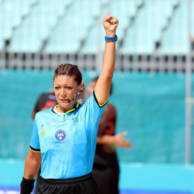 Faventiavslamezia 00013