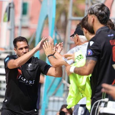 Faventiavslamezia 00014