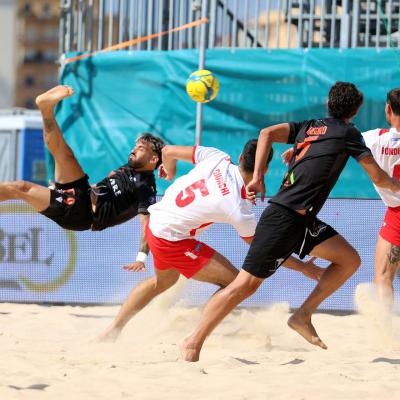 Faventiavslamezia 00017