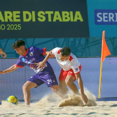 Faventiavsvastese 00019