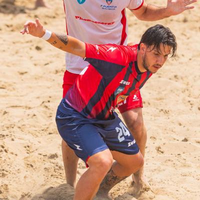 Crotonevsfaventia 00012