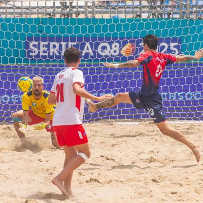 Crotonevsfaventia 00013