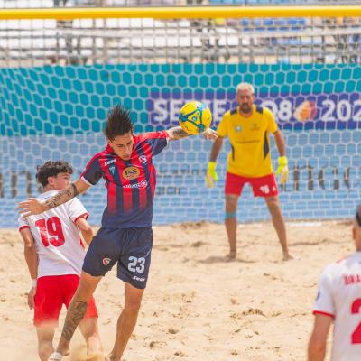 Crotonevsfaventia 00014