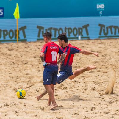 Crotonevsfaventia 00048