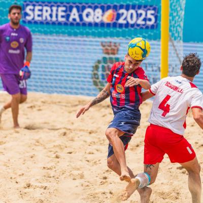 Crotonevsfaventia 00059